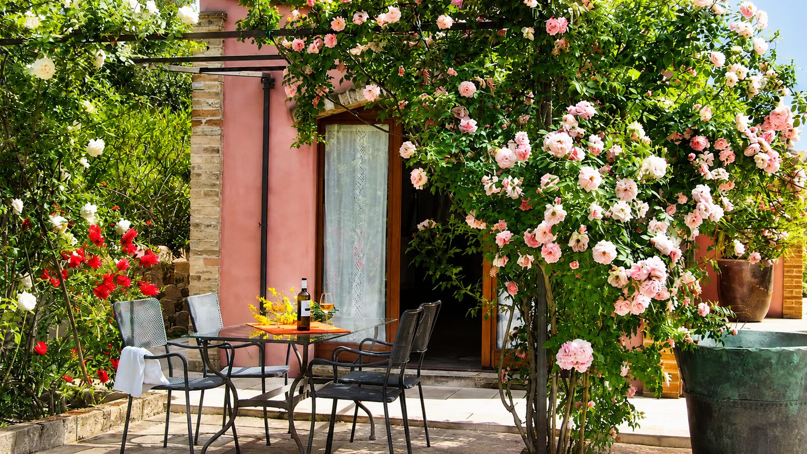 Patio with roses and wine